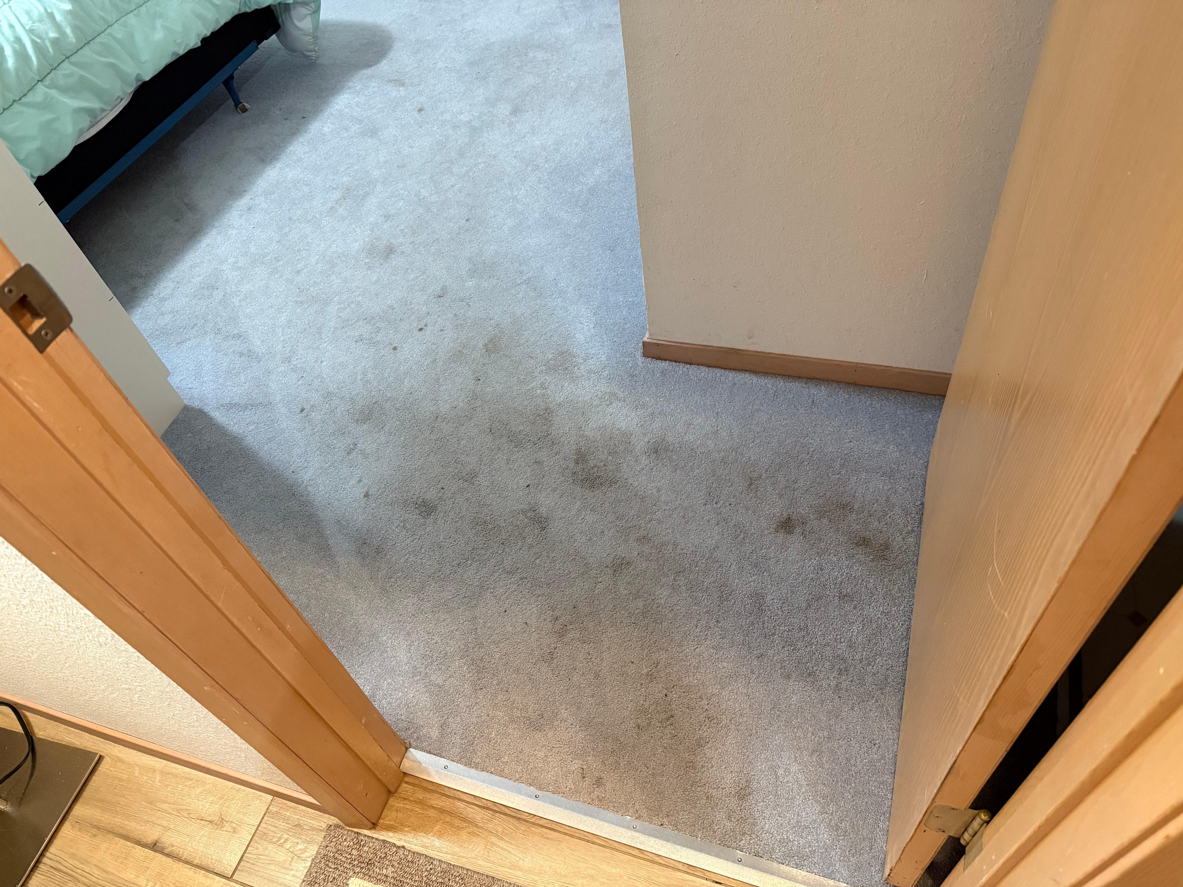 Carpet stains