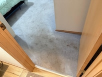 Carpet stains