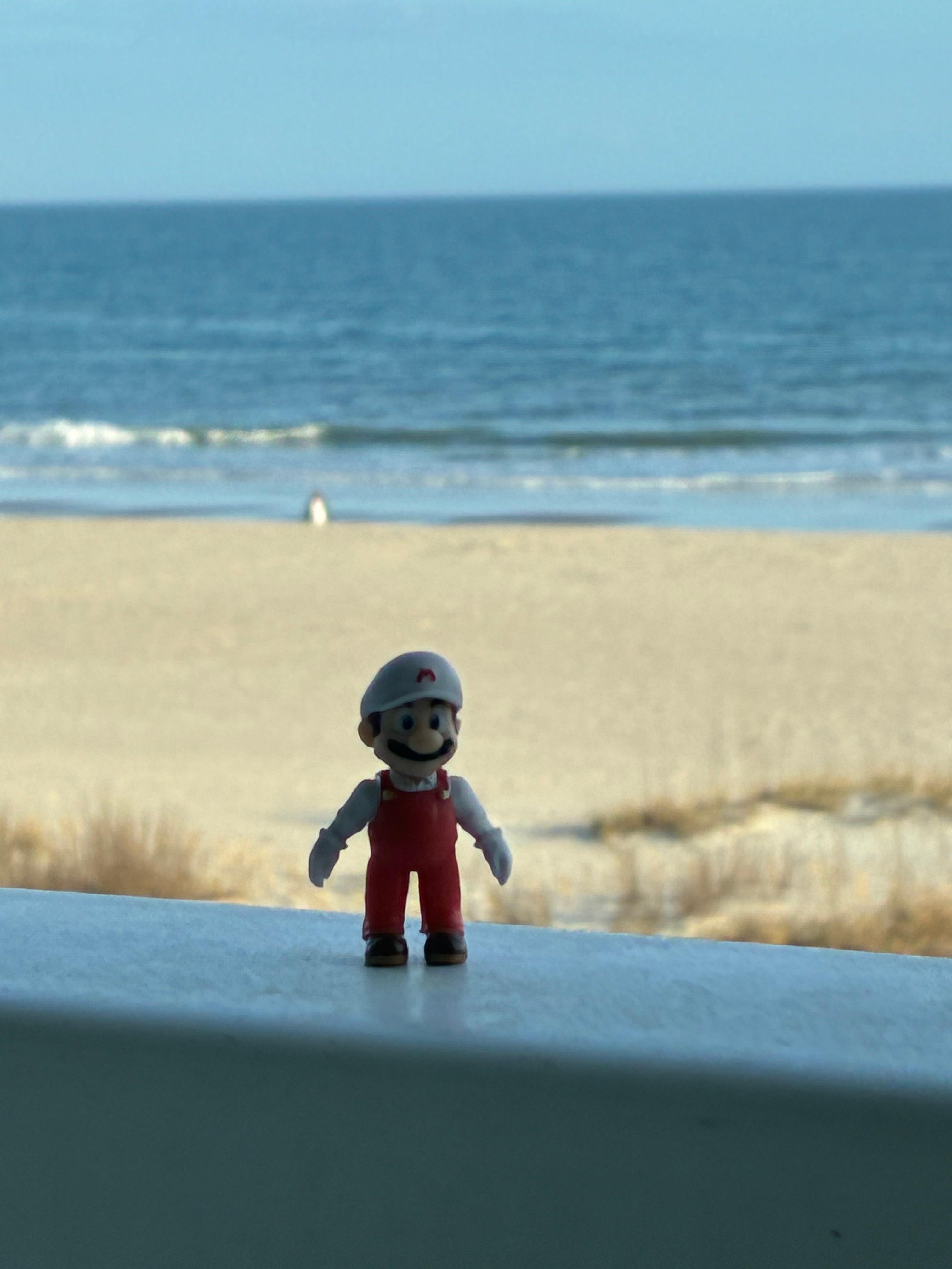 Found Mario at the beach