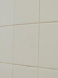Mildew on tile