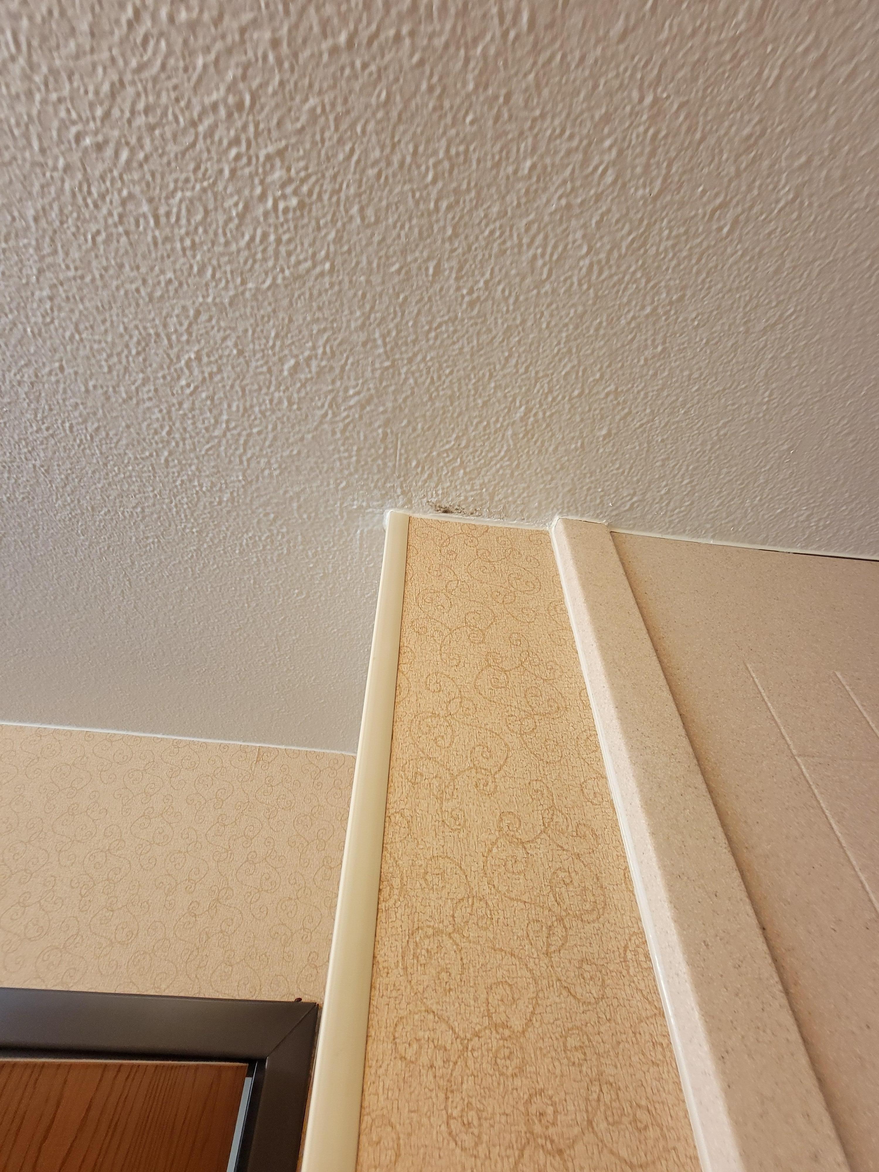 Photos don't do justice as to how disgusting it is. Drywall dust, mold, separated moldings. The air quality was the worst part!!