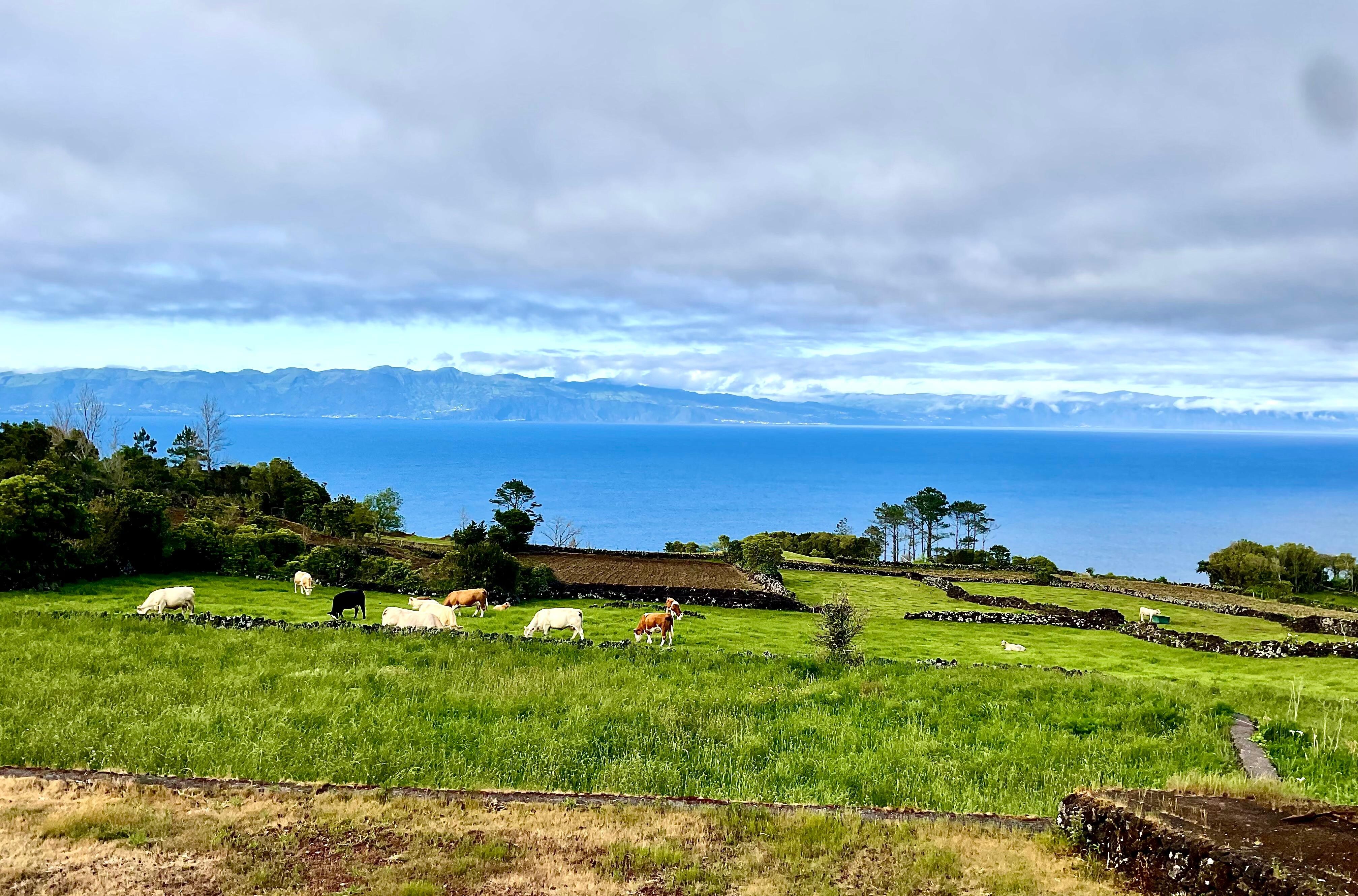 Another view from the house