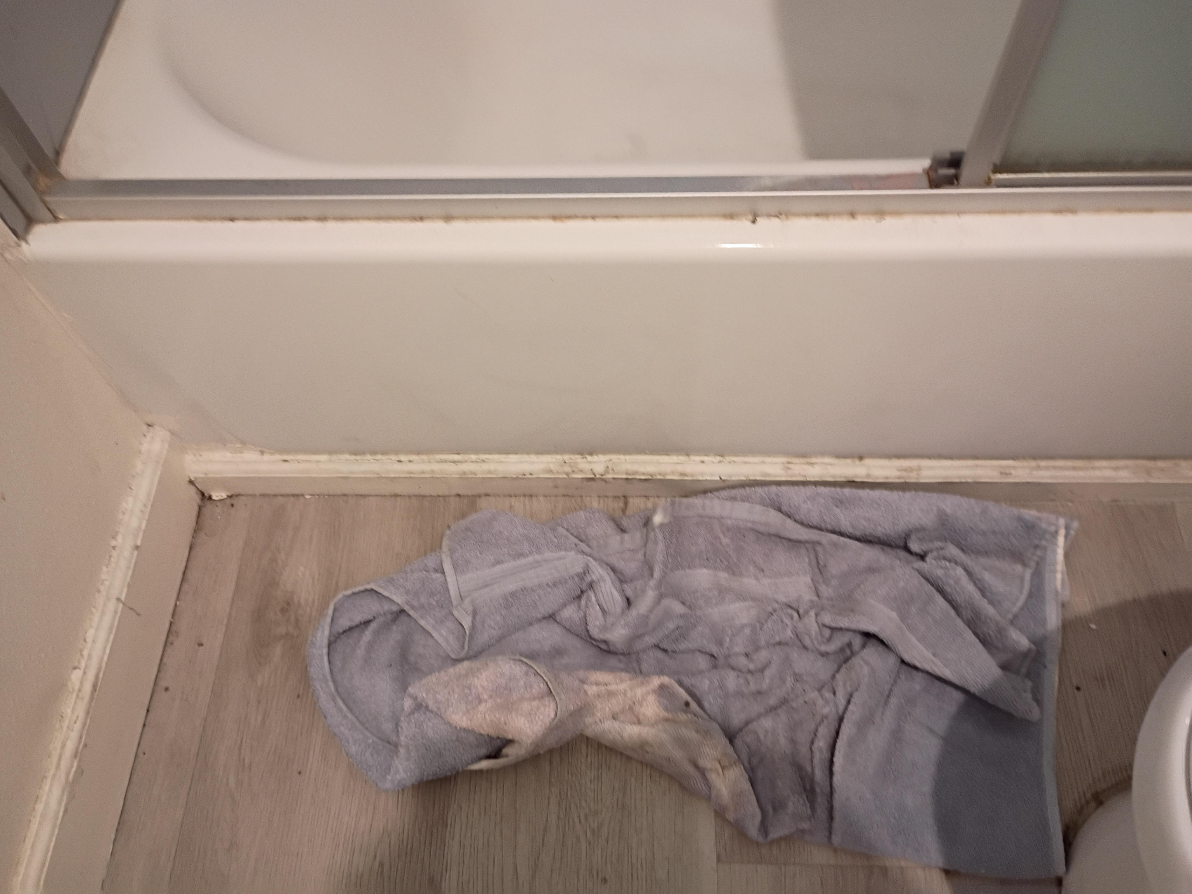Etat de la 1ere salle de bain