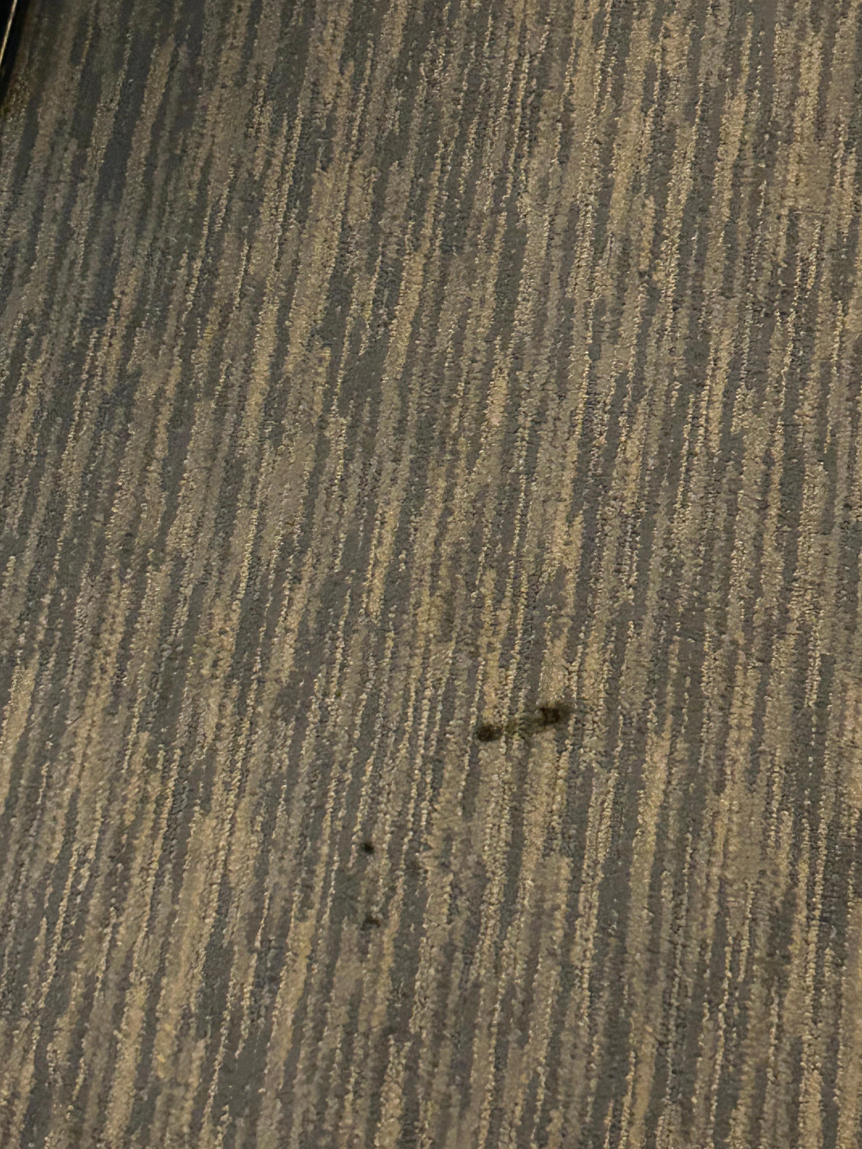 Floor in Room 1 (114)