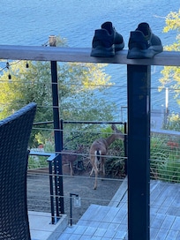 Visitor
