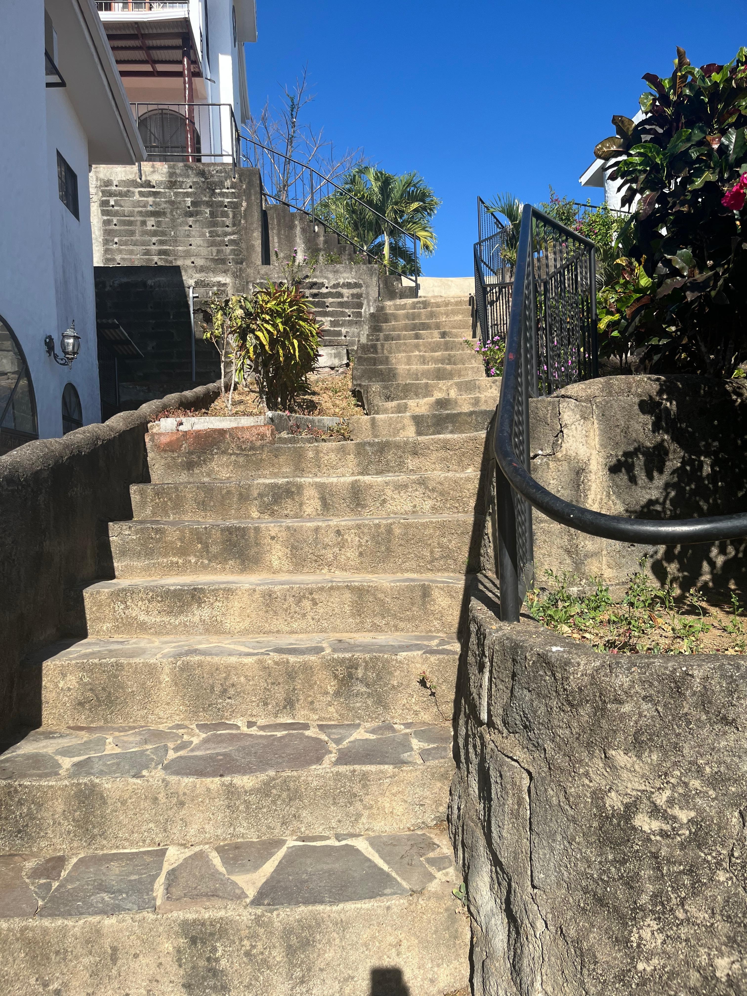Stairs to get to the house from where you park
