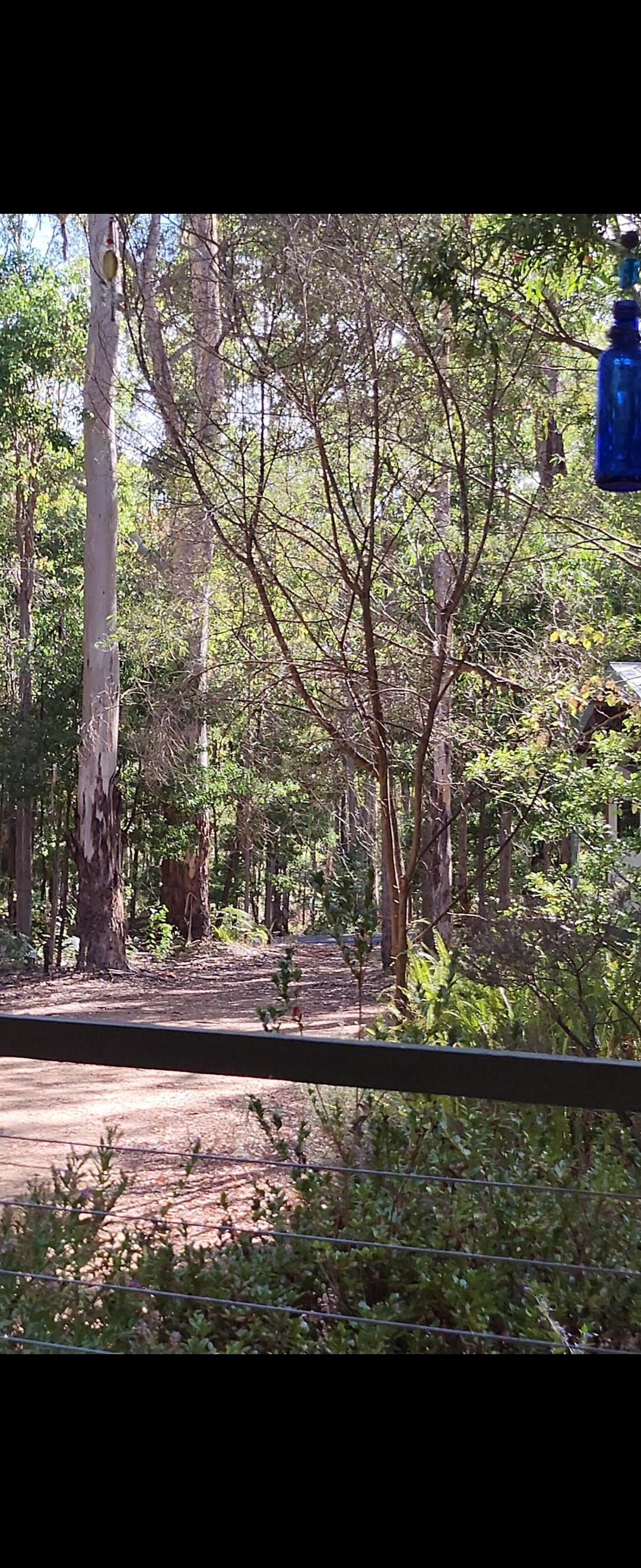 Cottage in beautiful surrounds