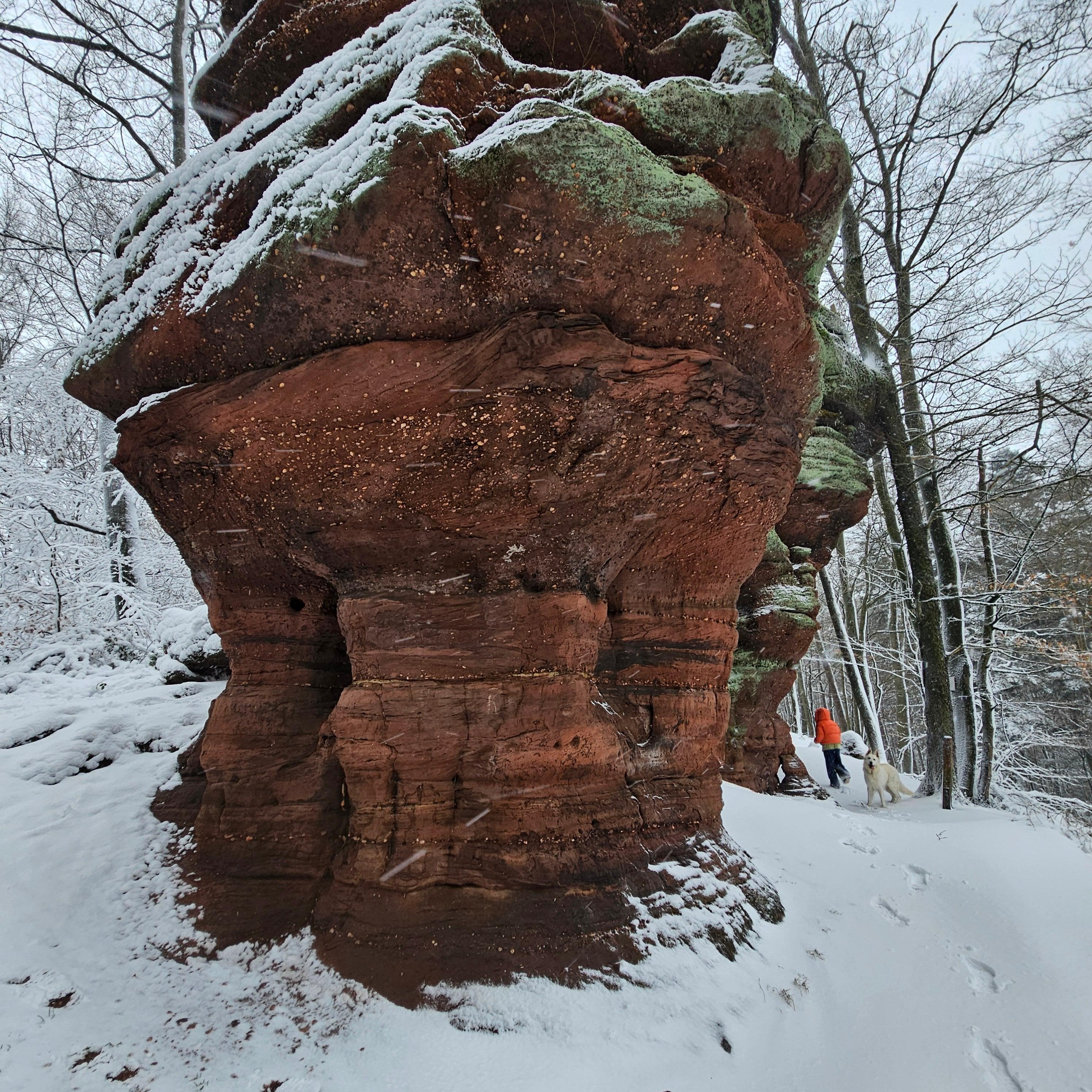 Schöne Wanderung ganz in der Nähe. T4
