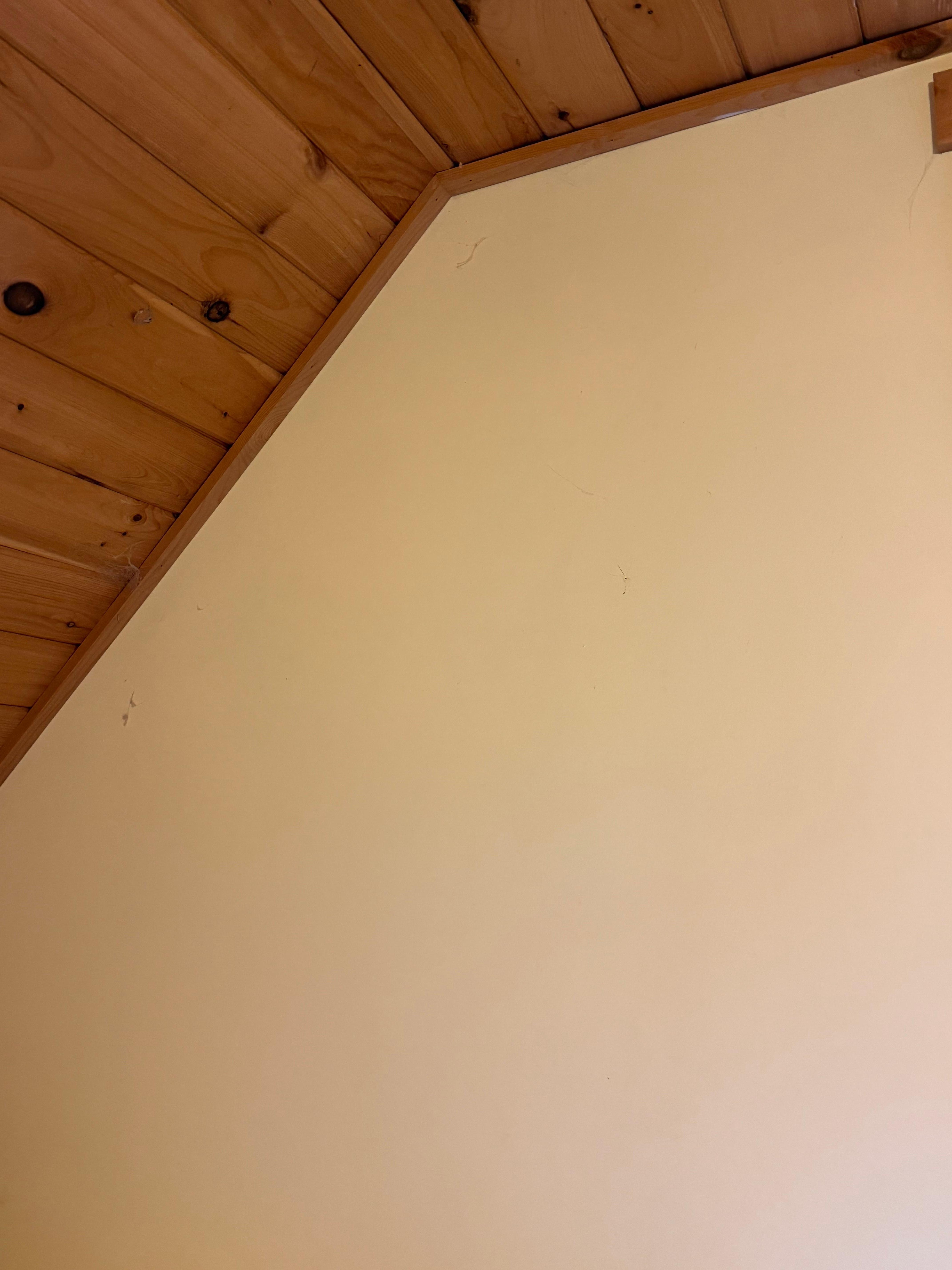 Zoom in to see more cobwebs on the wall of the upstairs bedroom