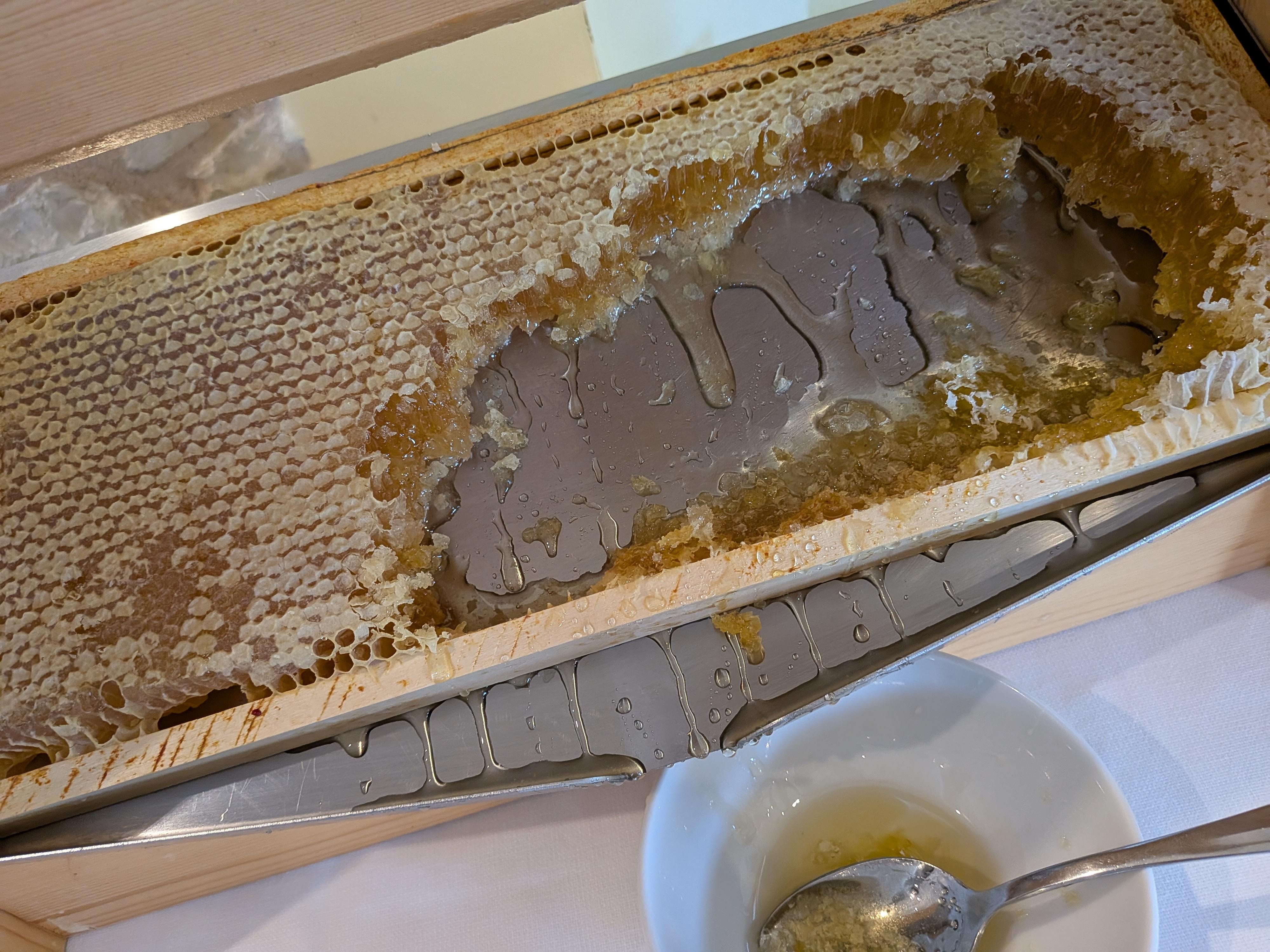 豪華なビュッフェ朝食には、蜂の巣丸ごとの蜂蜜が楽しめます!