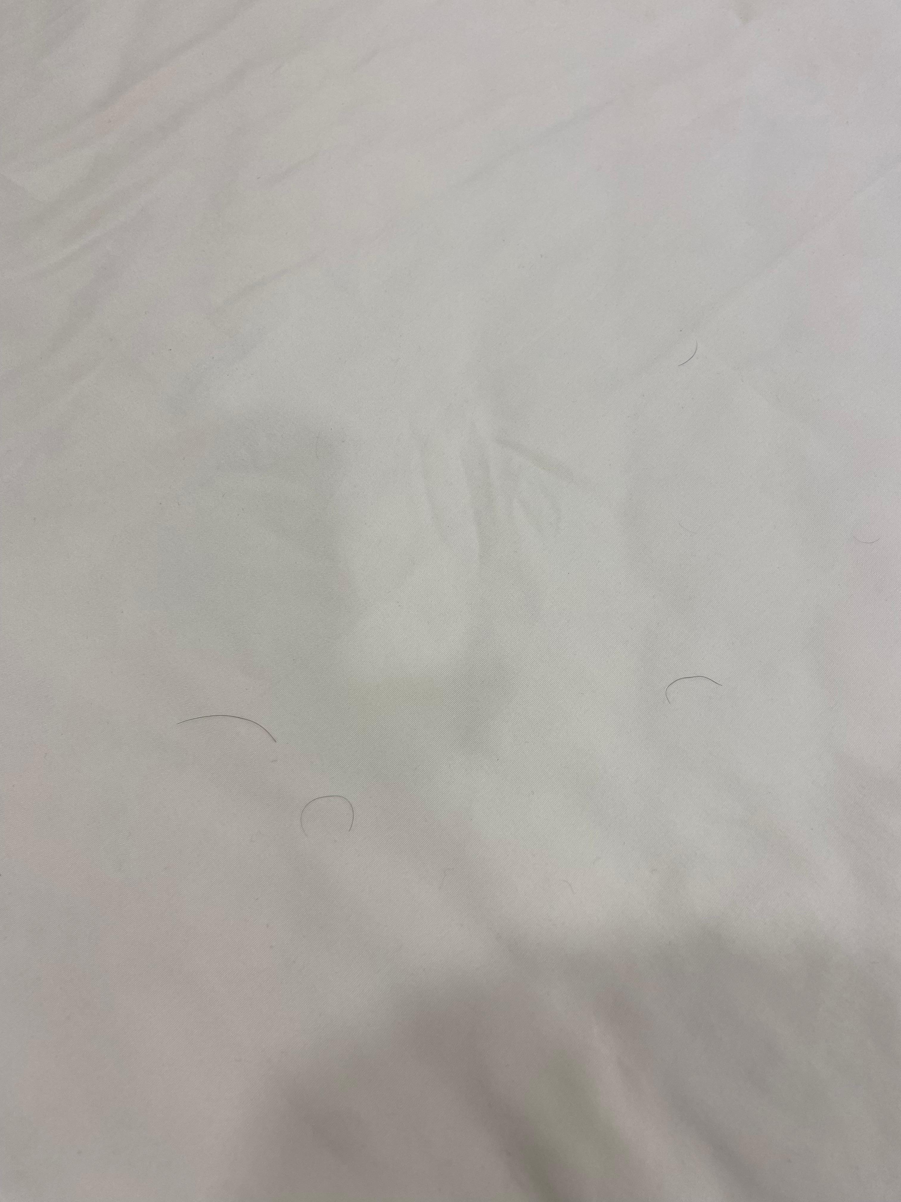Hairs on the sheets upon check in 