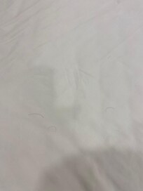 Hairs on the sheets upon check in