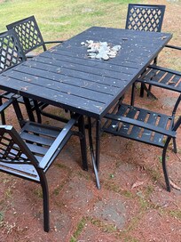 Table was covered in bird poop and pine needles.