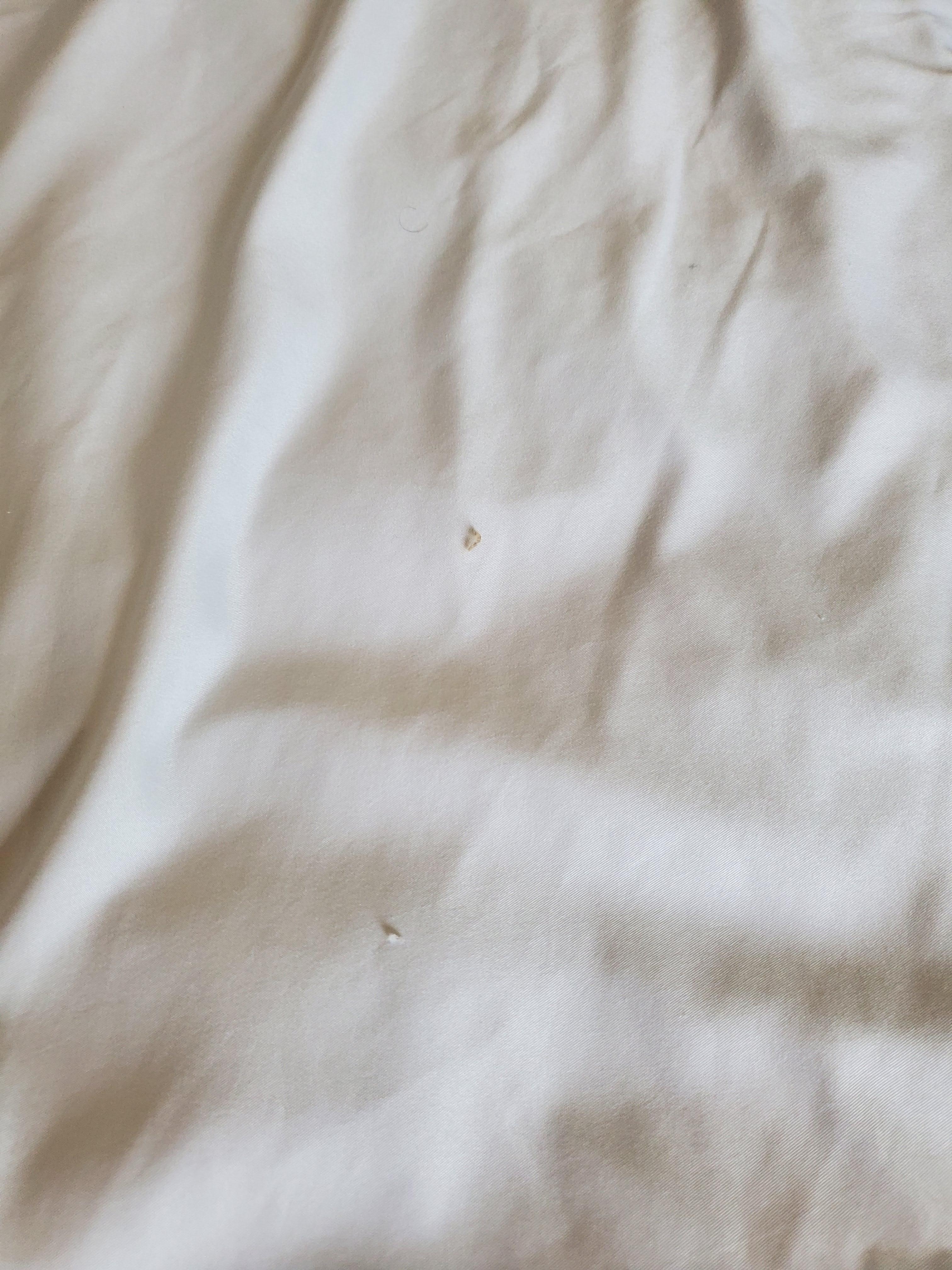 Hair and other substances on sheets