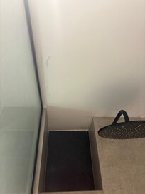 mold in the shower