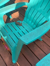 Zoom in to see the mold and dirt