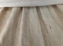 Bed skirt with bed bug stains