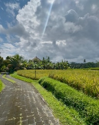 The entrance through rice terraces