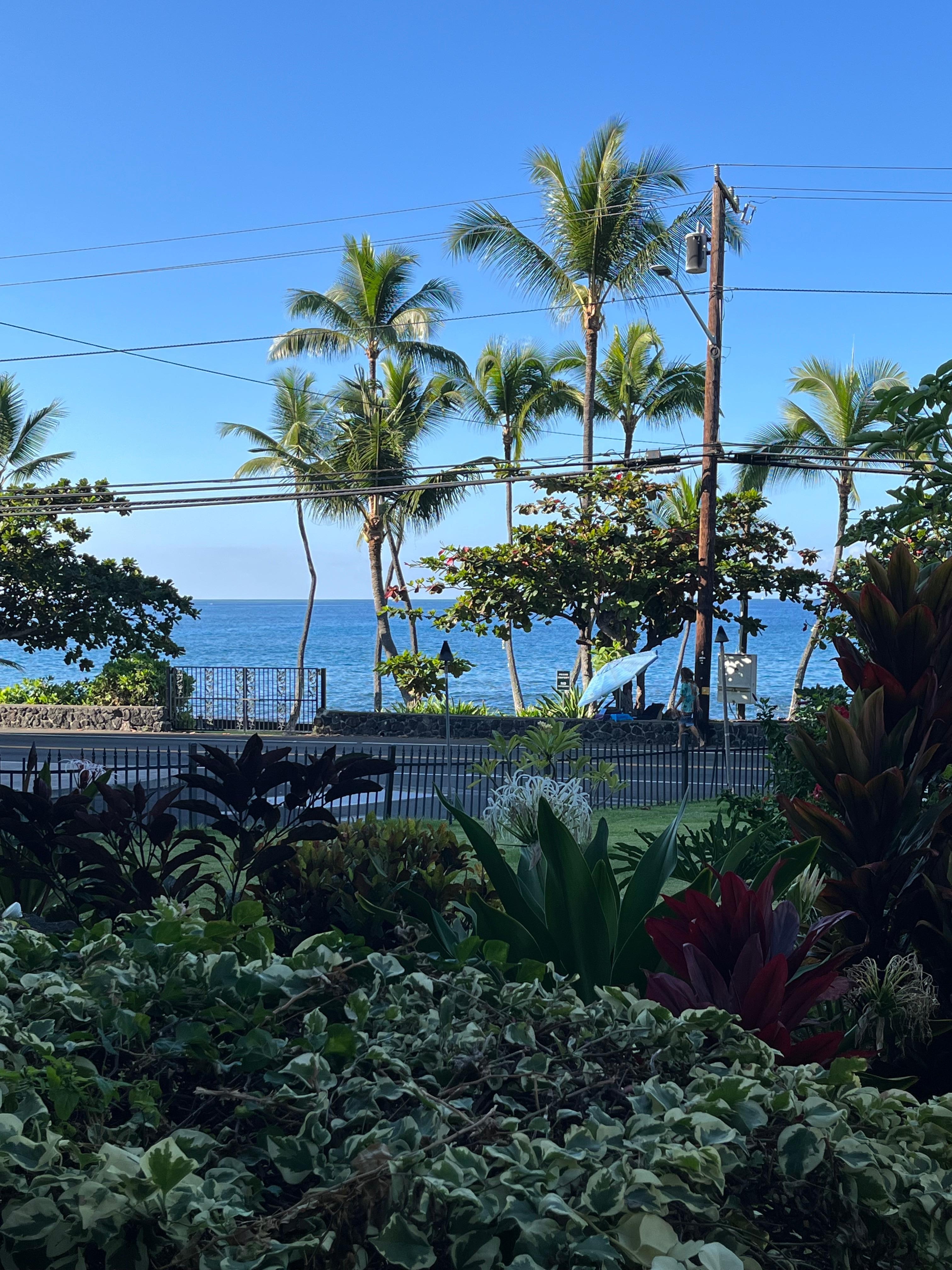 泊まったお部屋のラナイからの景色