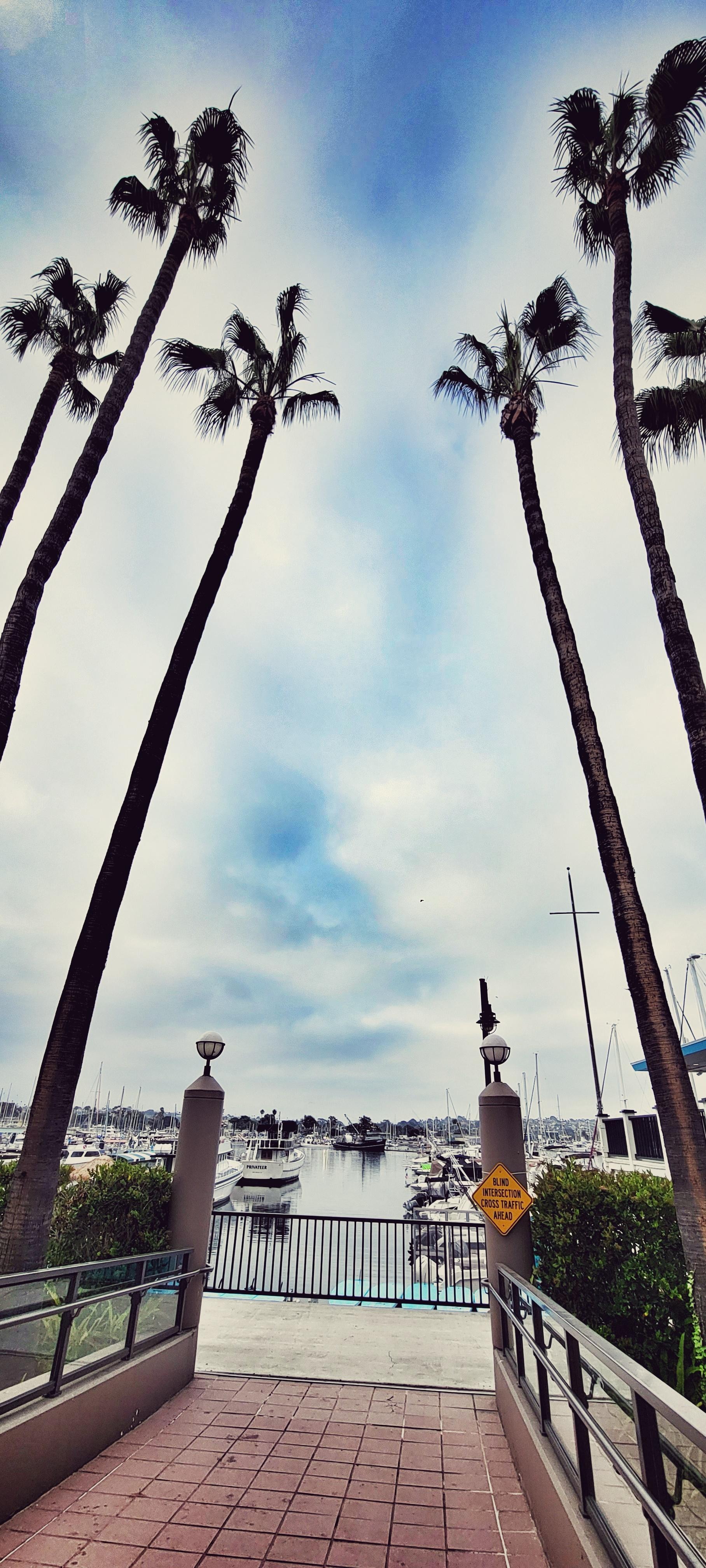 Pretty view on the way to get coffee