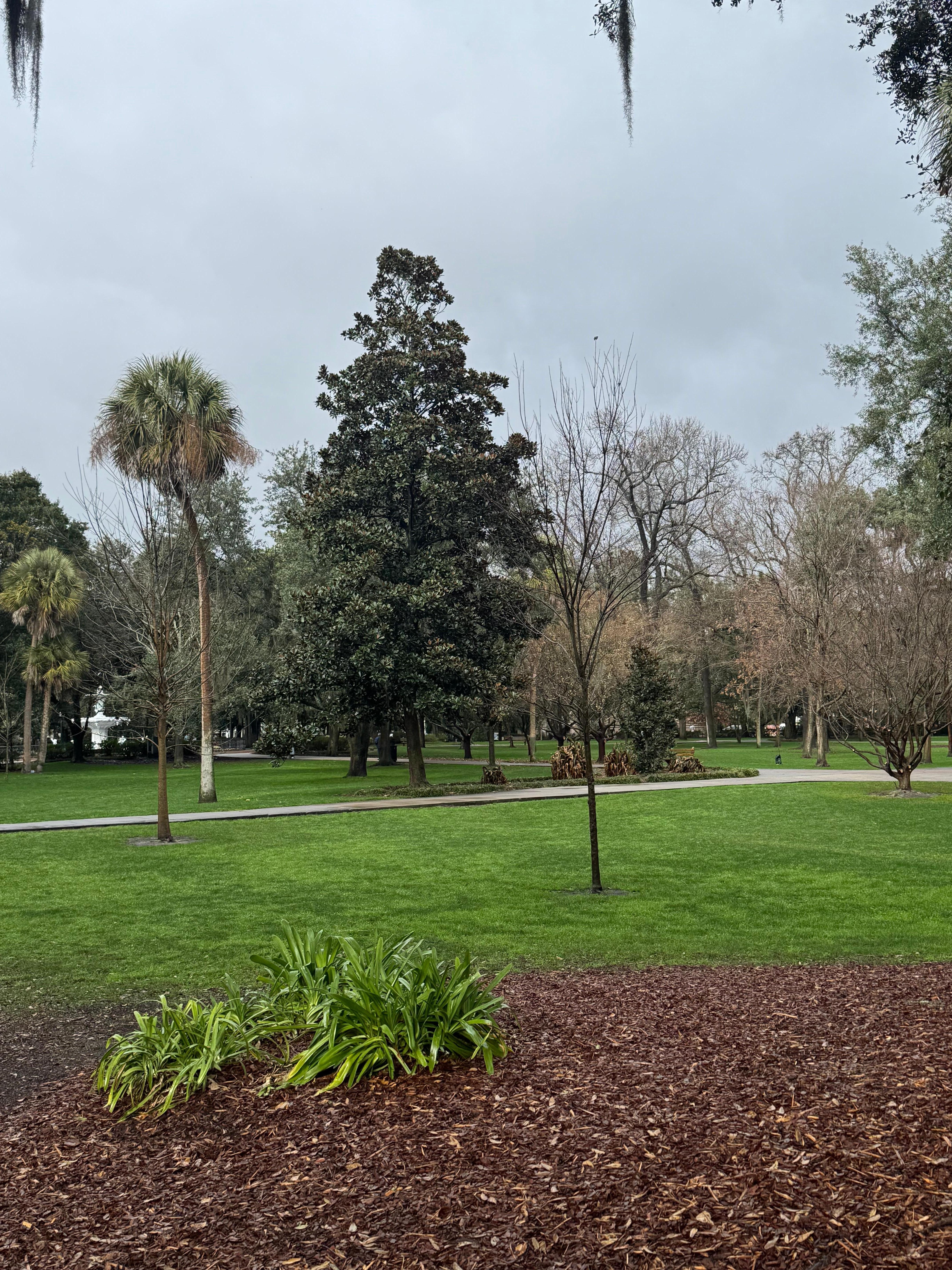 Forsyth Park. Completely breathtaking. 