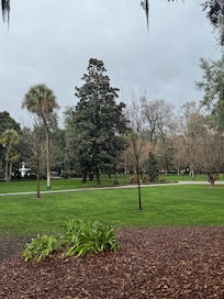 Forsyth Park. Completely breathtaking.