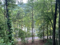 View from back deck