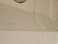 Scum and mold-bathroom