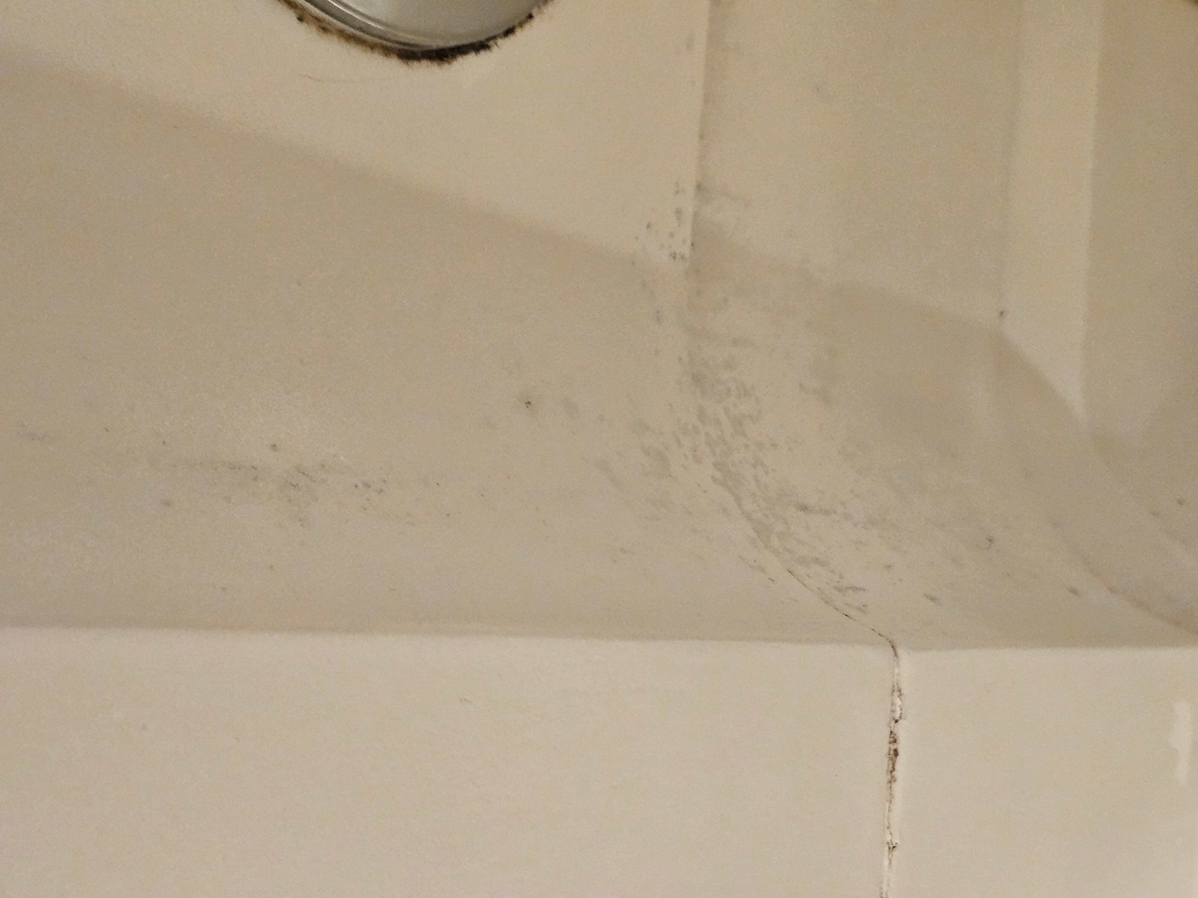 Scum and mold-bathroom