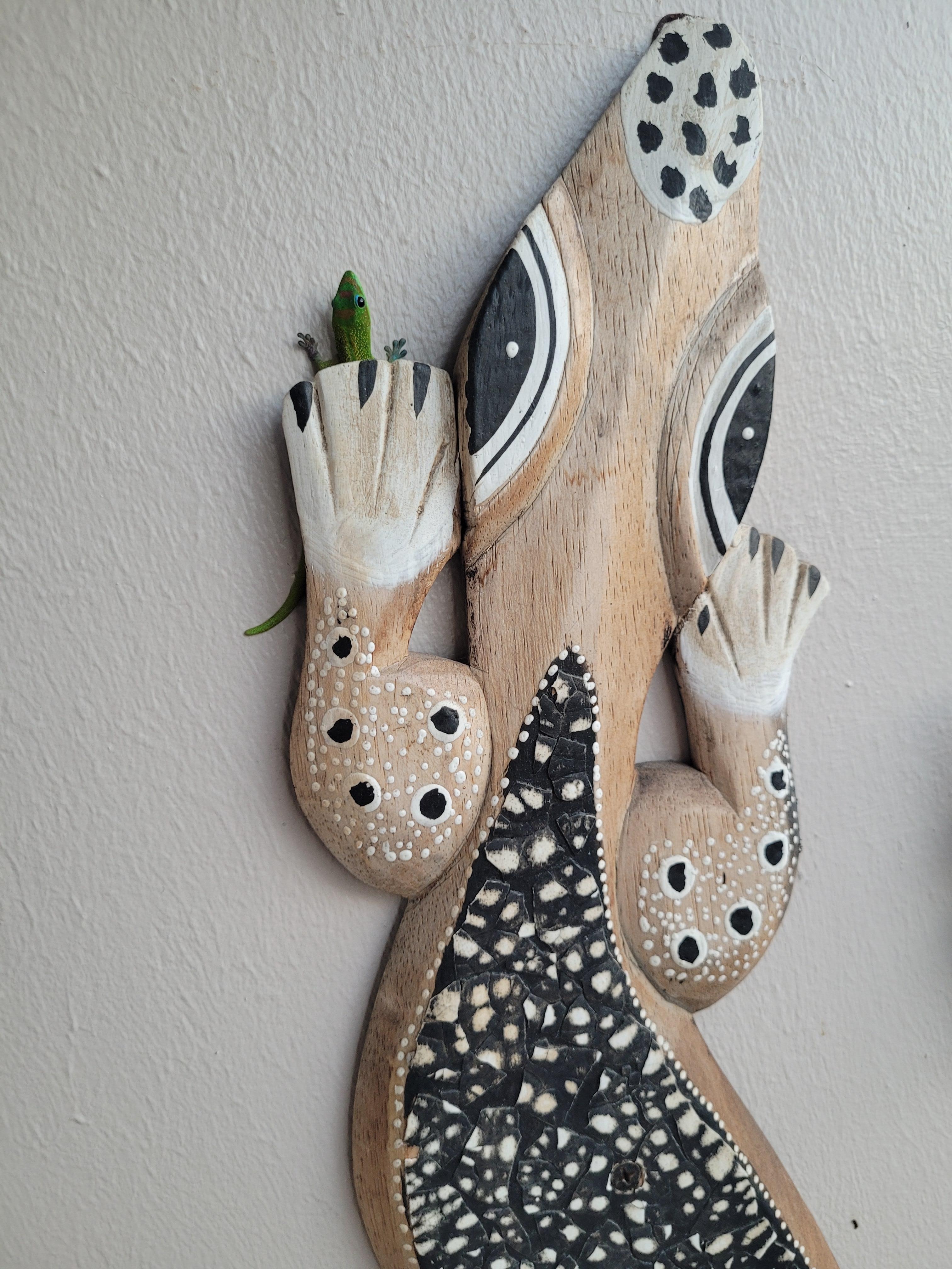 Lizards were on the balcony daily.