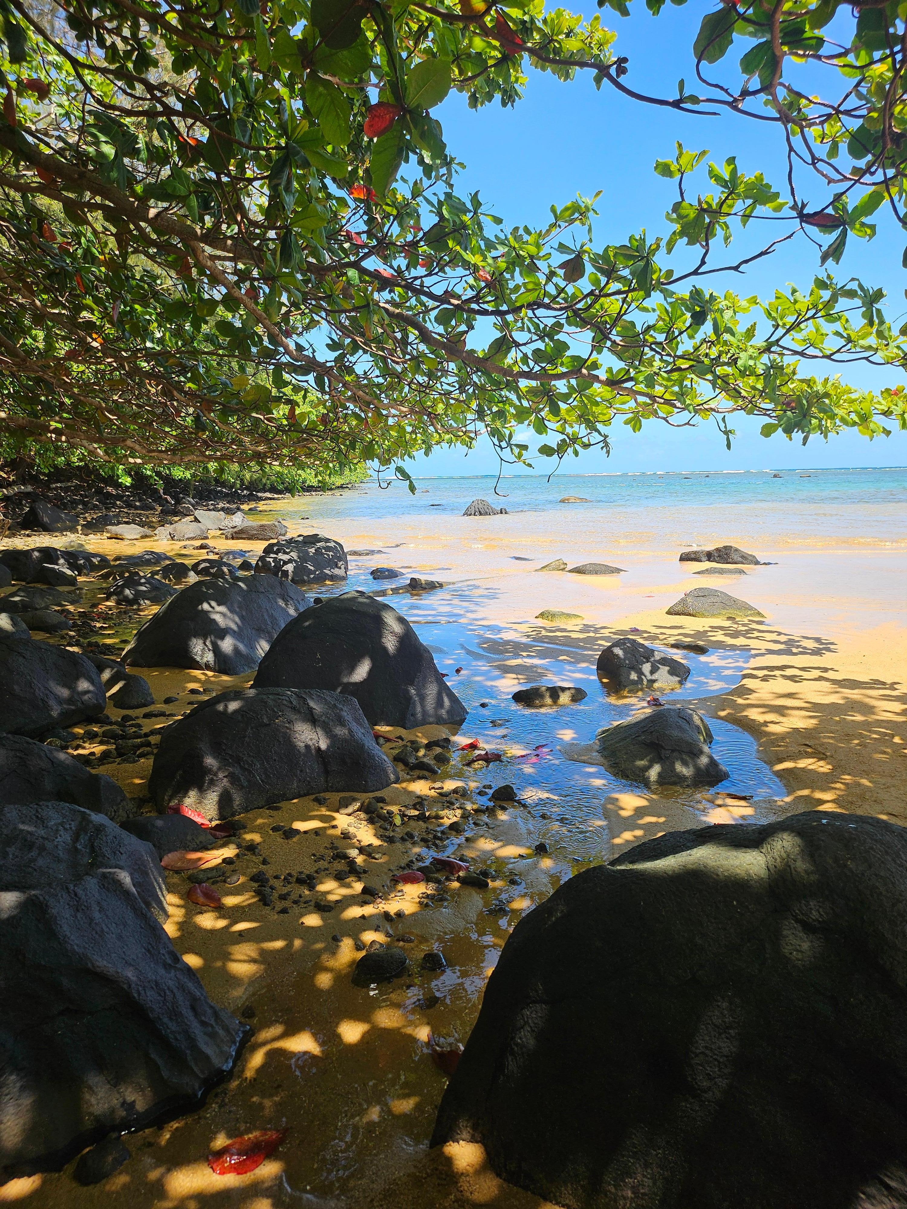 Sealodge Beach, hike nearby