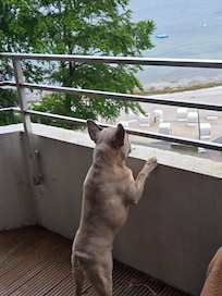 Unsere Überwachungskamara