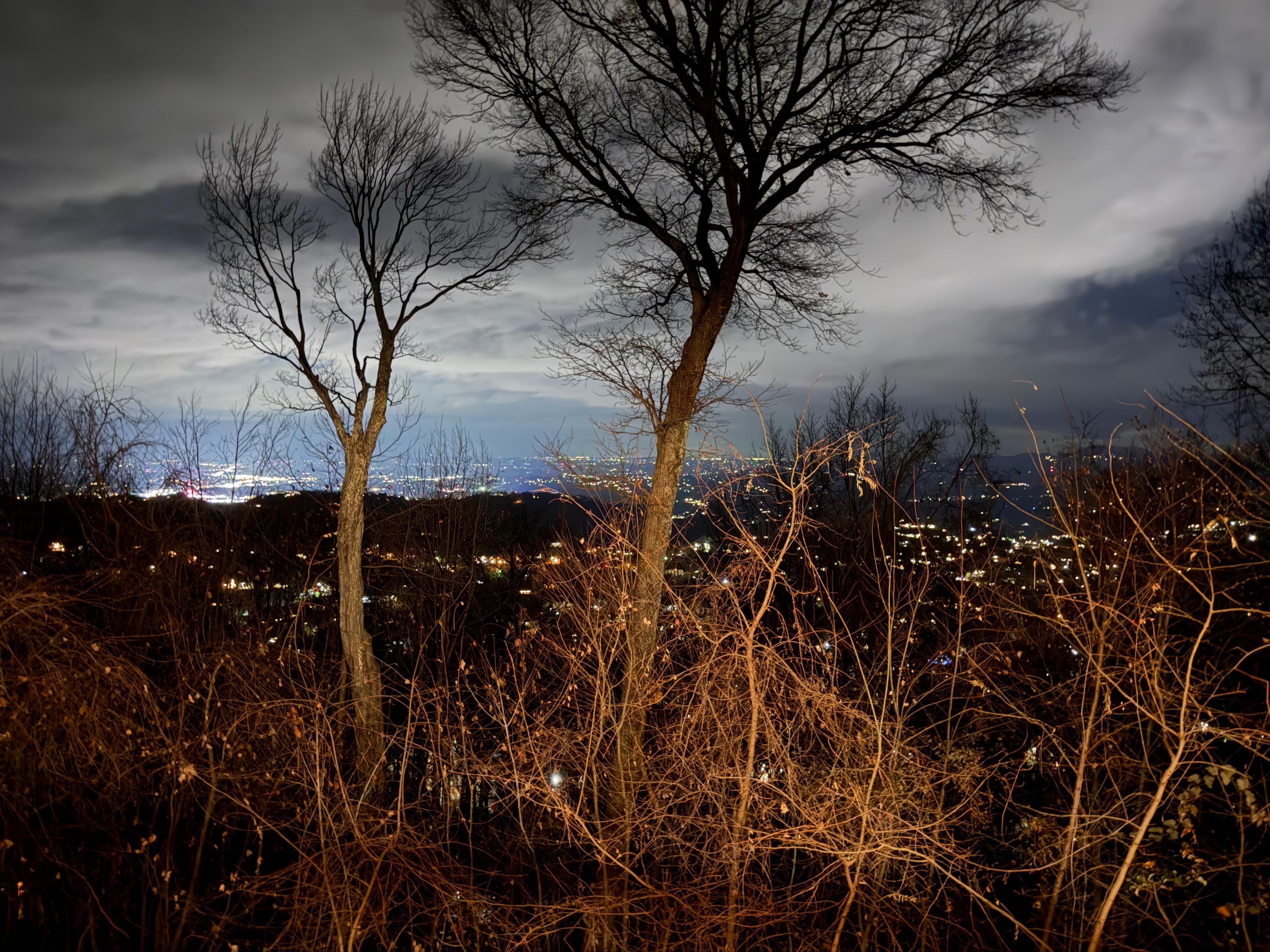 Back deck view at night