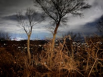 Back deck view at night