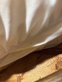There were bugs in the mattress. Unfortunately, we couldn’t get closer photos out of fear of being bitten.