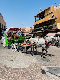 Medina