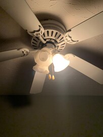 2 out of 3 bulbs dead in the only fixture in this room.