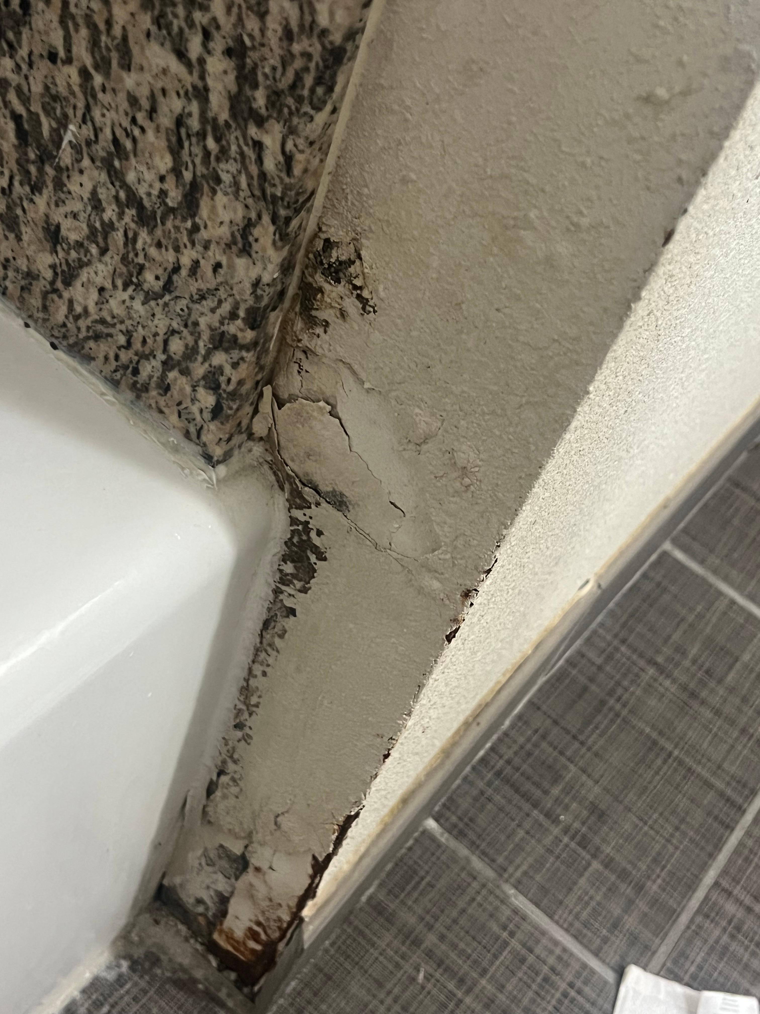 Mold and paint chipping