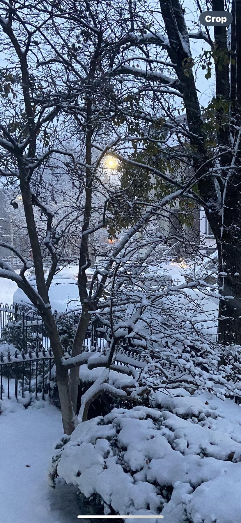 The view this morning… beautiful! 