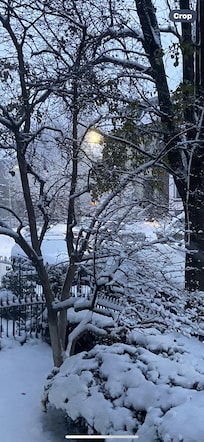 The view this morning… beautiful!