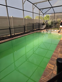 Algae filled pool upon arrival.