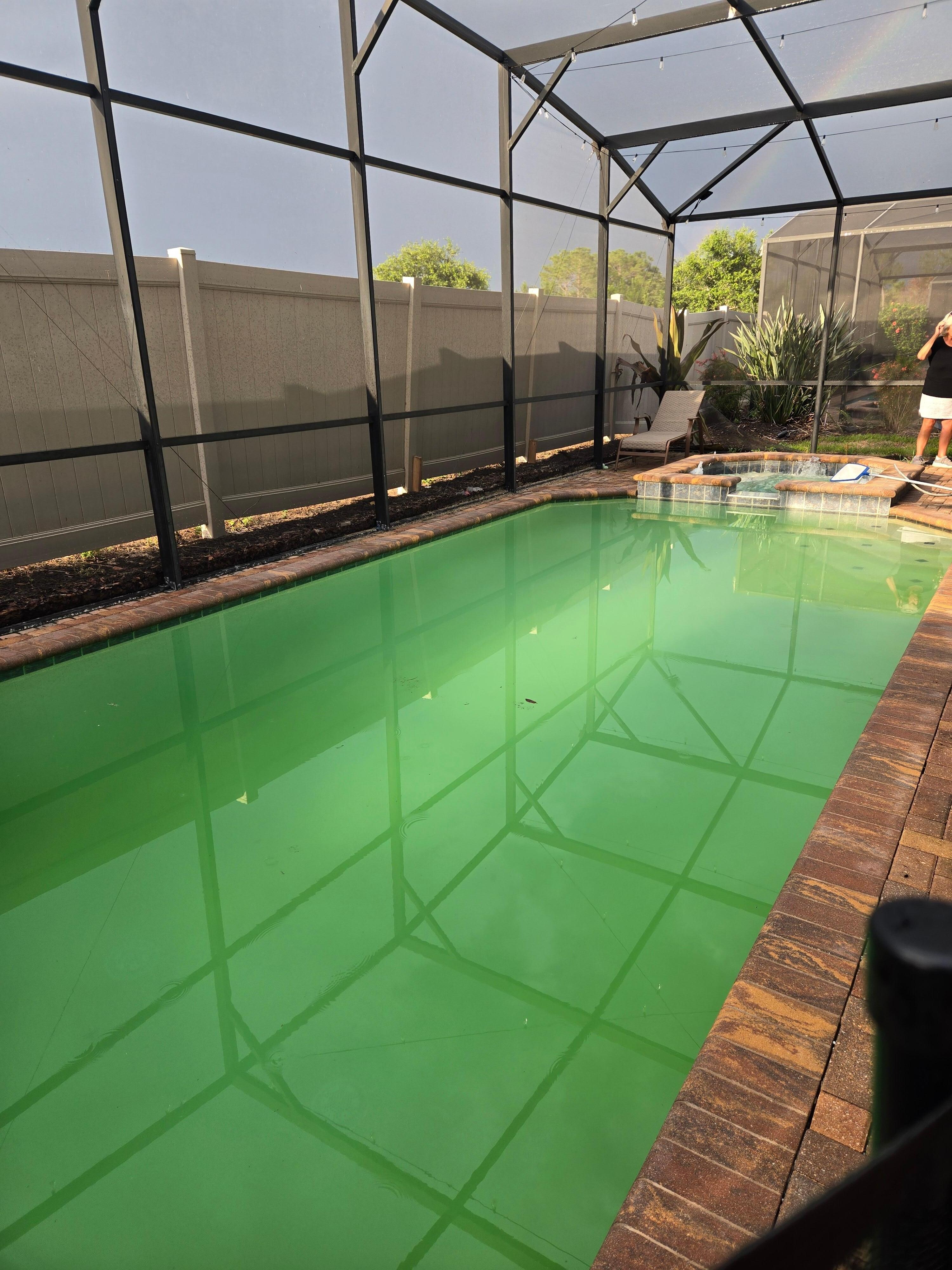 Algae filled pool upon arrival.