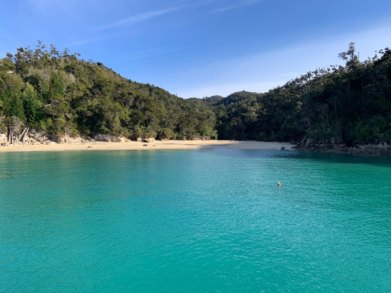 Views of Abel Tasman park from a boat. 