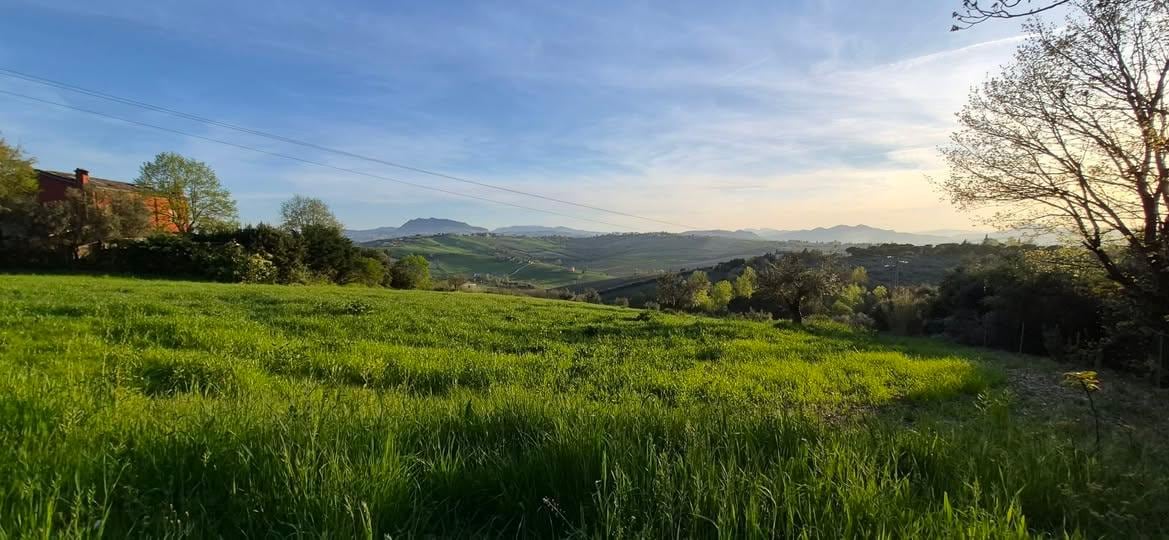 When you see this view,  you're only one minute from home.
