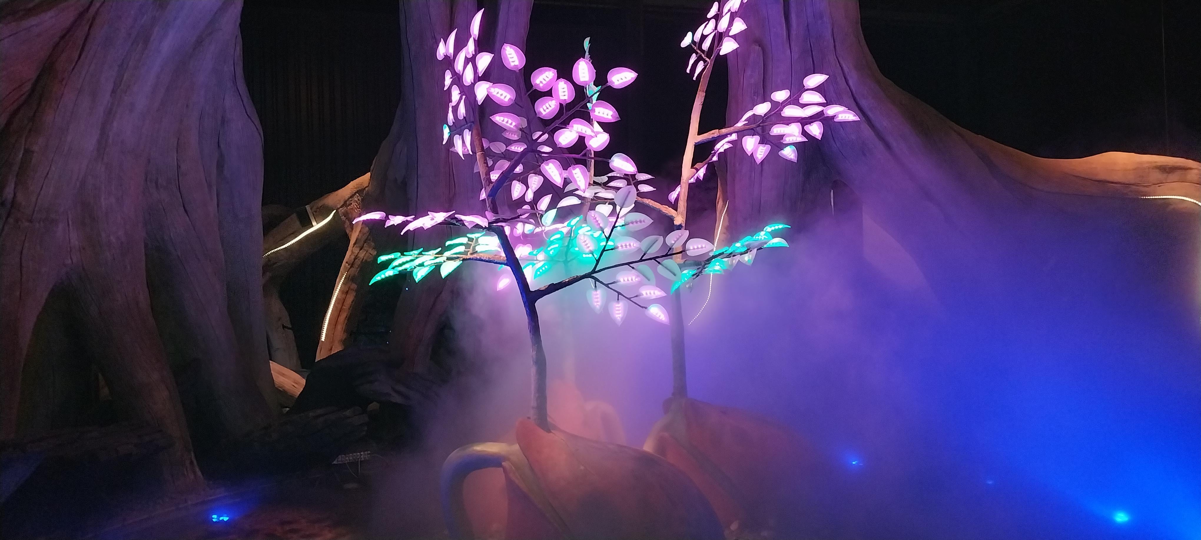 terra botanica le soir