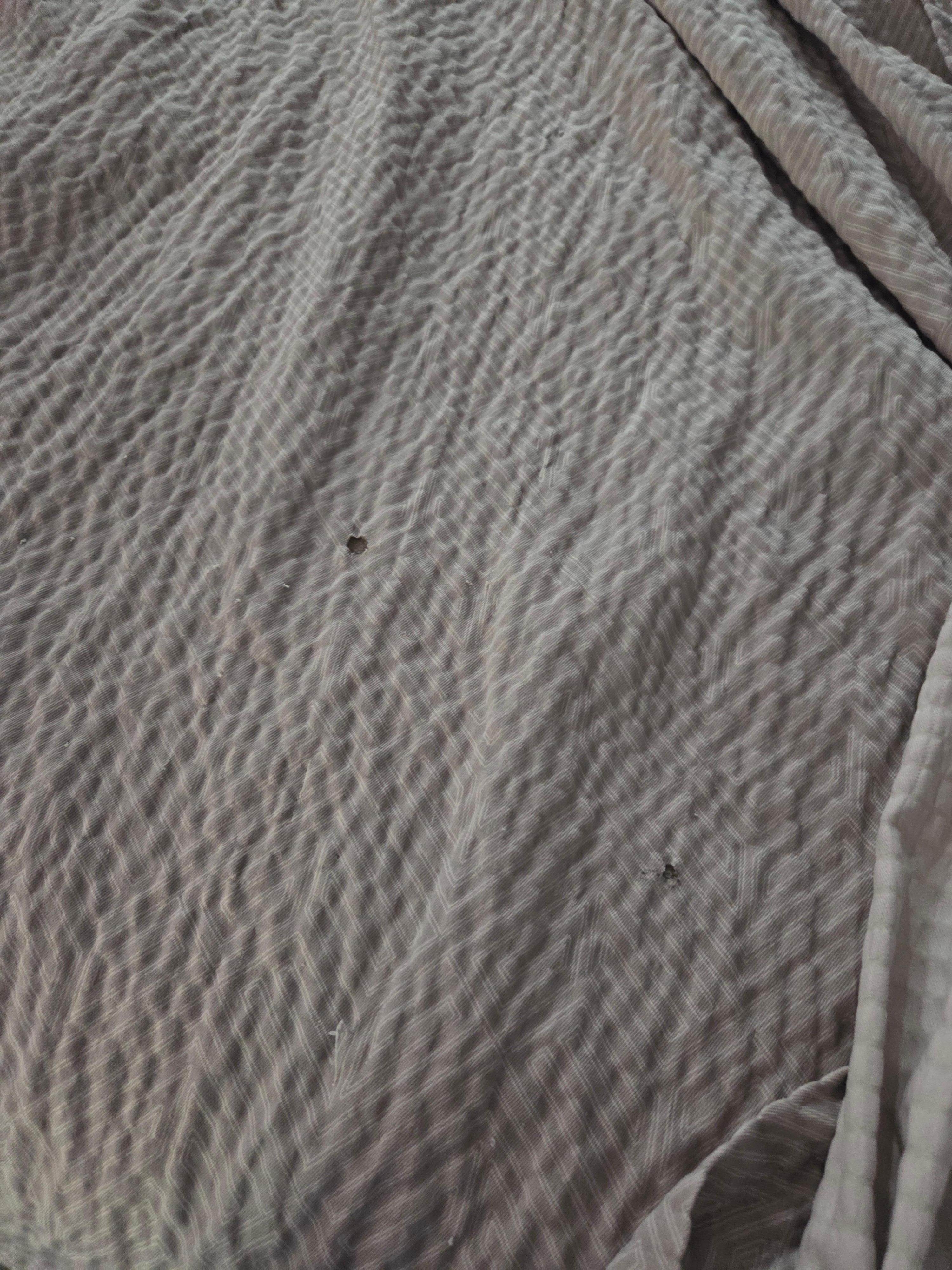 Cigarette burn holes in cover and blanket