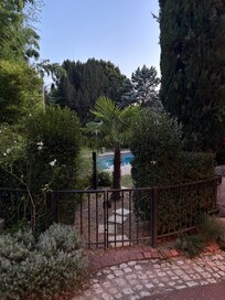 The pool