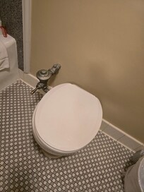 Toilet in dire need of replacement. Rusty hardware, permanent ring stain in bowl.