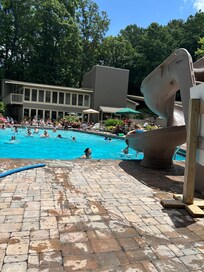 Swimming day! Gorgeous weather!