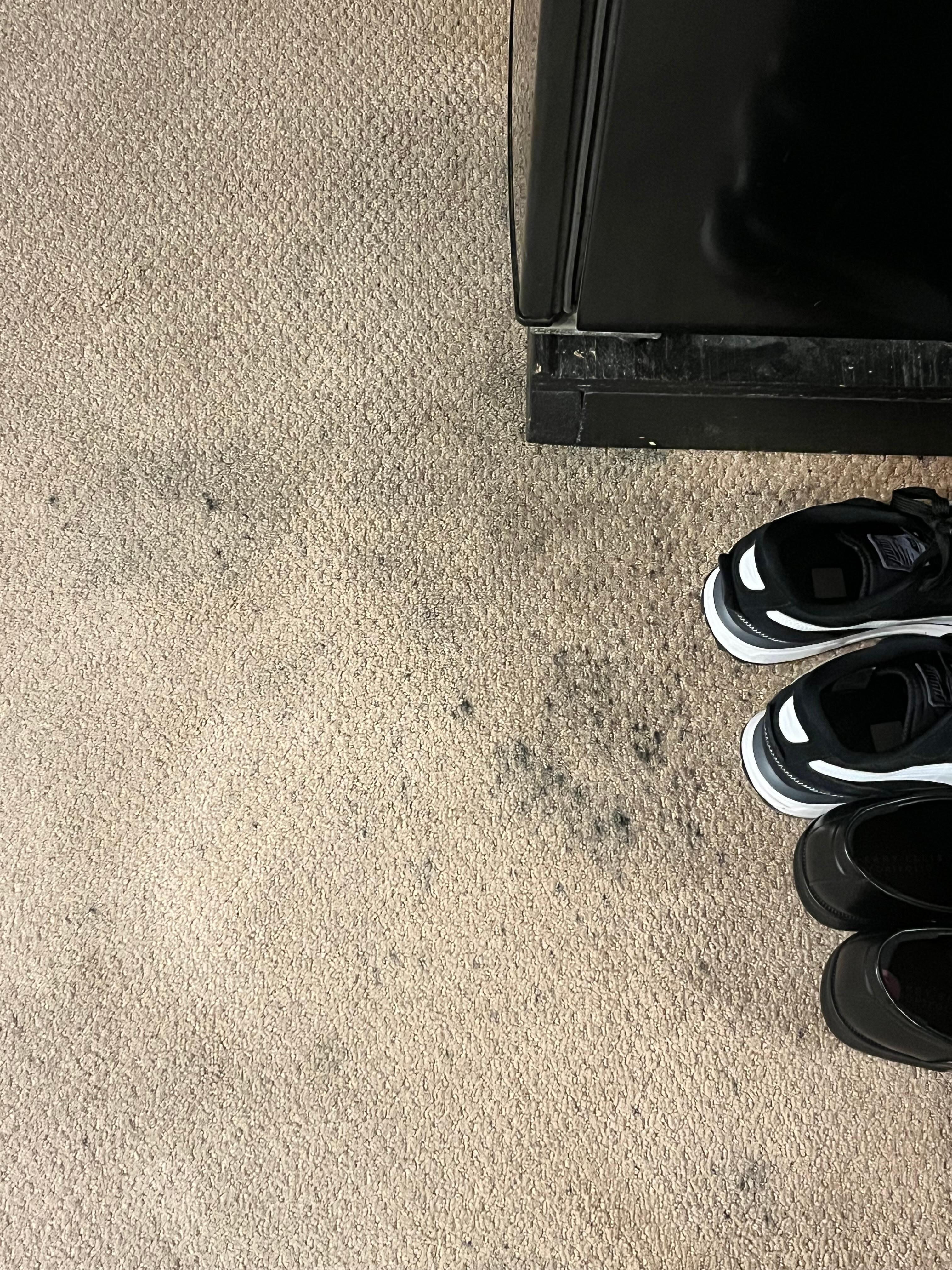 Ink stains all over carpet
